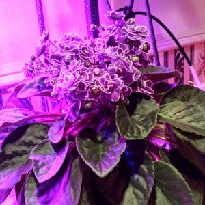 Meet your Posher, Kathie